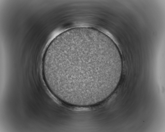 X0000084051187200703092046