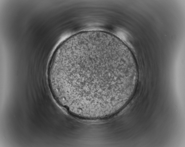 X0000084051189200703092046