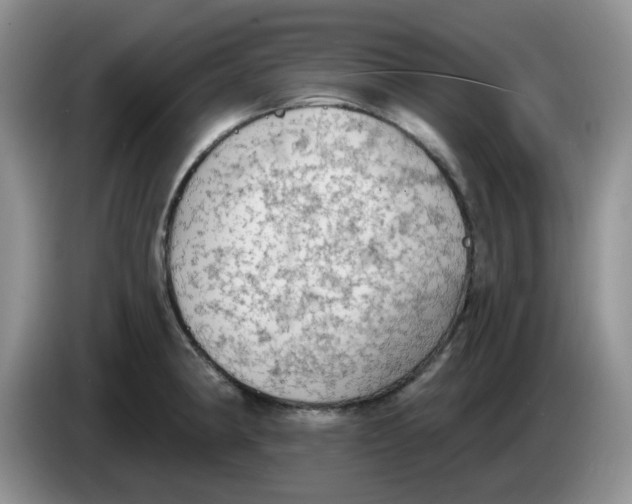 X0000084051190200703092046