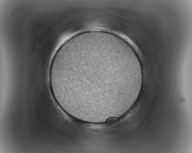 X0000084051191200703092046