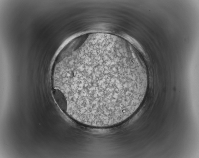 X0000084051192200703092046