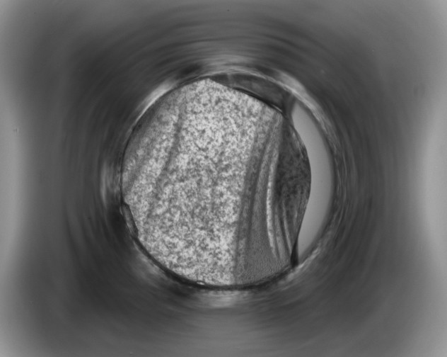 X0000084051193200703092046