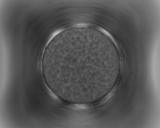 X0000084051194200703092046