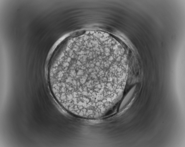 X0000084051196200703092046