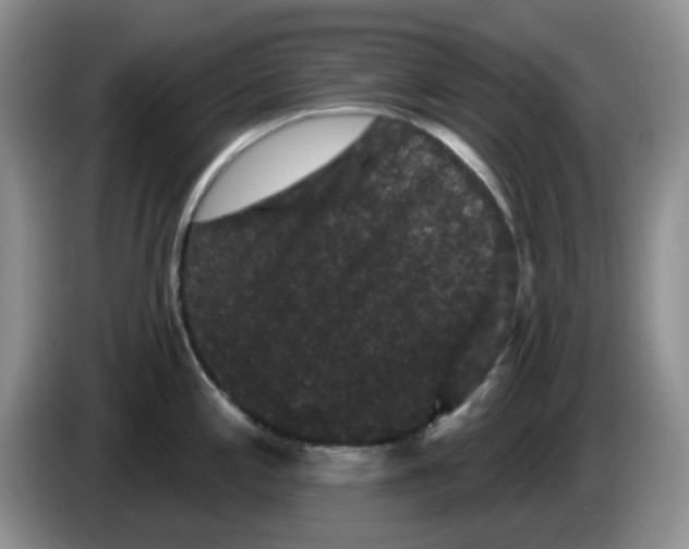 X0000084051197200703092046