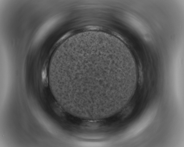 X0000084051198200703092046