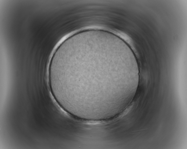 X0000084051199200703092046