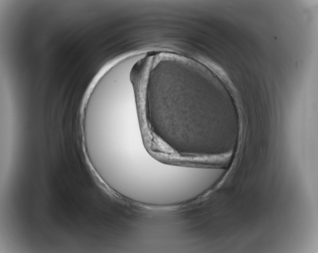 X0000084051200200703092046