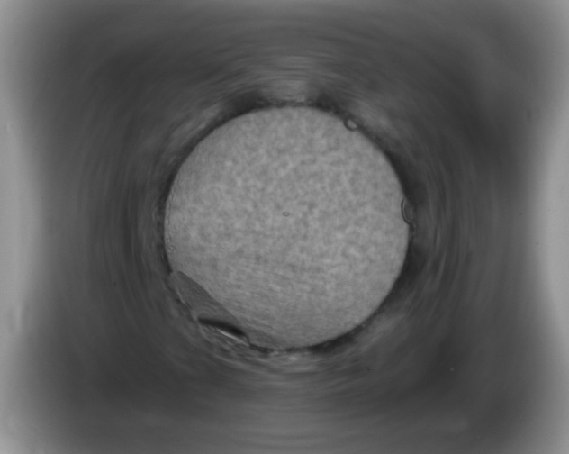 X0000084051201200703092045