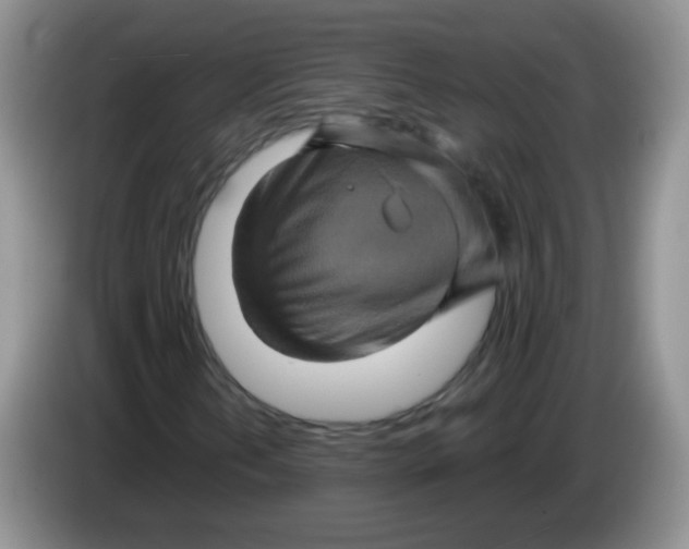 X0000084051202200703092045