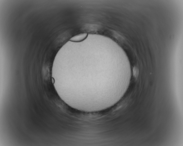 X0000084051203200703092045