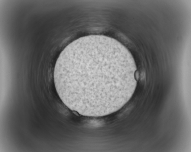 X0000084051204200703092045