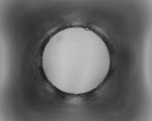 X0000084051207200703092045