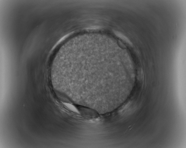 X0000084051208200703092045