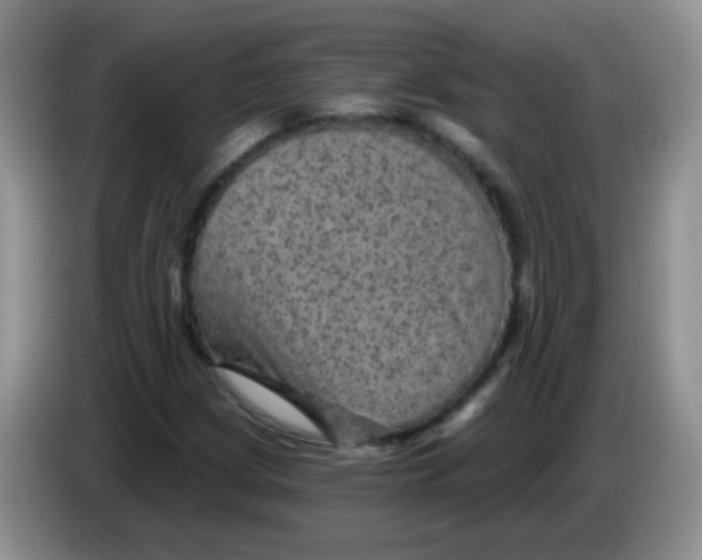 X0000084051209200703092045