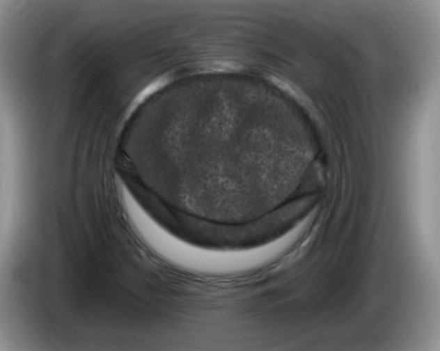 X0000084051210200703092045