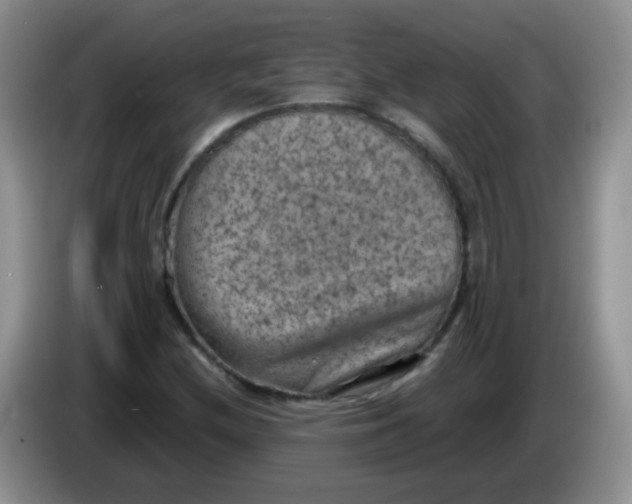 X0000084051212200703092045