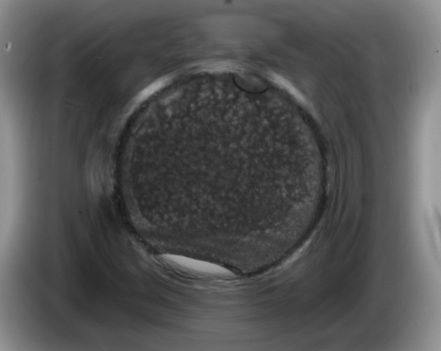 X0000084051213200703092045