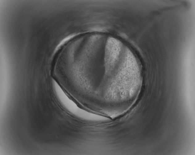 X0000084051214200703092045