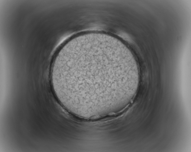 X0000084051216200703092045