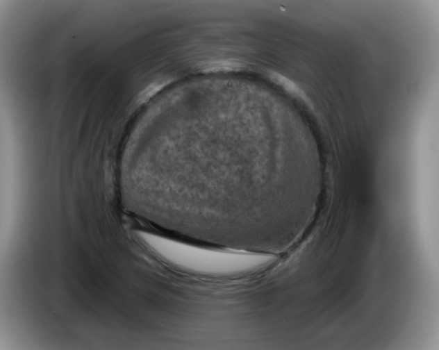 X0000084051217200703092045