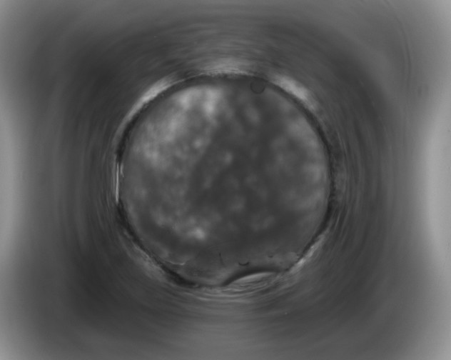 X0000084051219200703092045