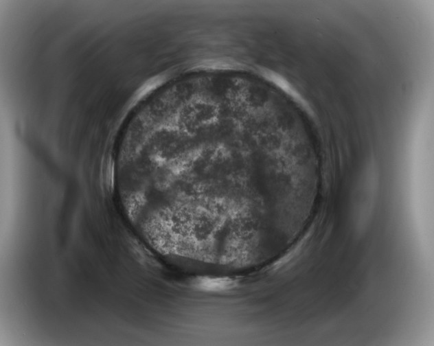 X0000084051221200703092045