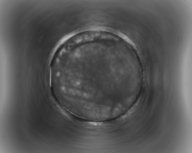 X0000084051223200703092045