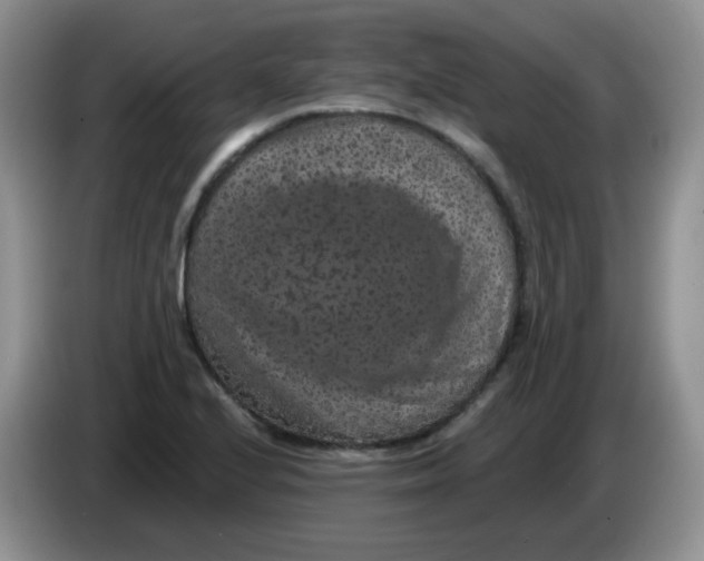 X0000084051224200703092045