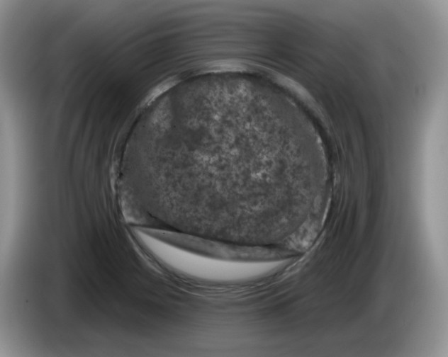 X0000084051225200703092045