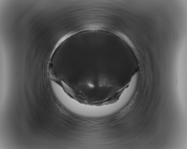 X0000084051226200703092045