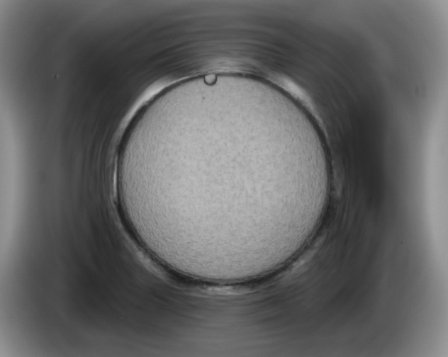 X0000084051227200703092045