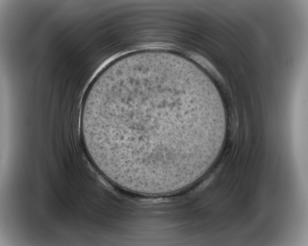 X0000084051228200703092045