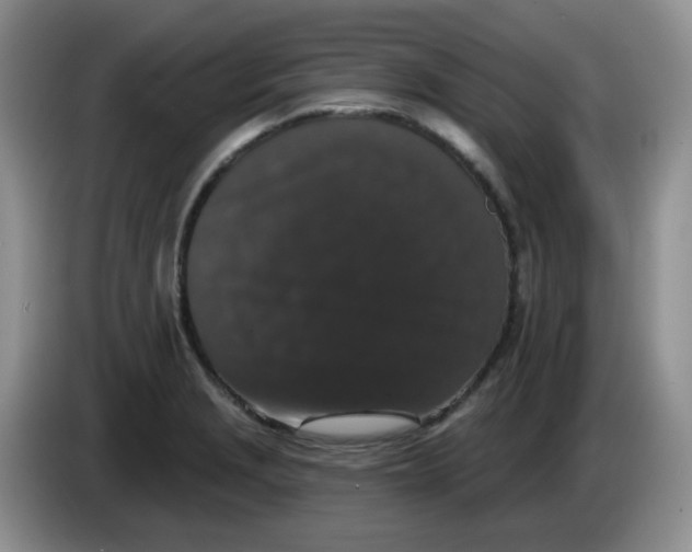 X0000084051229200703092045