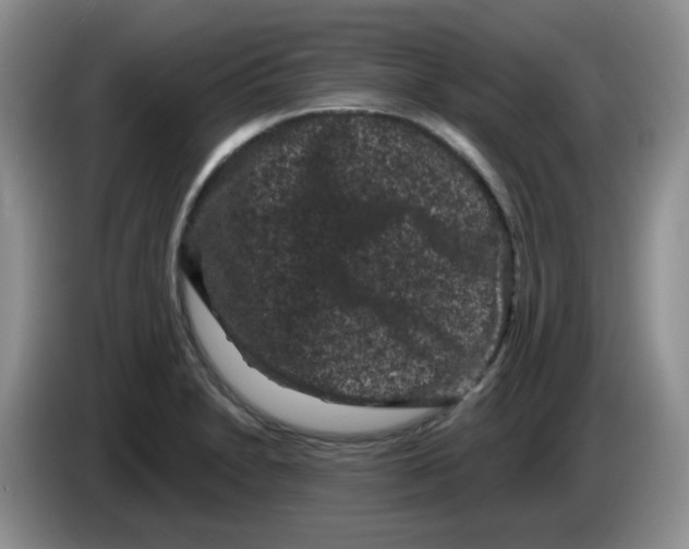 X0000084051230200703092045