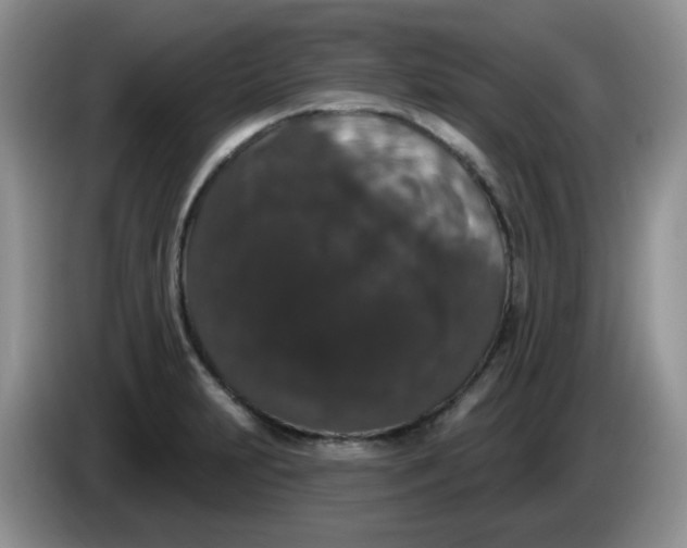 X0000084051231200703092045