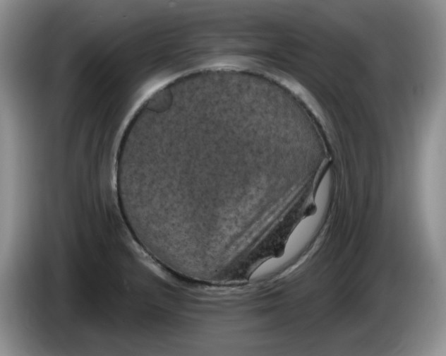 X0000084051232200703092045