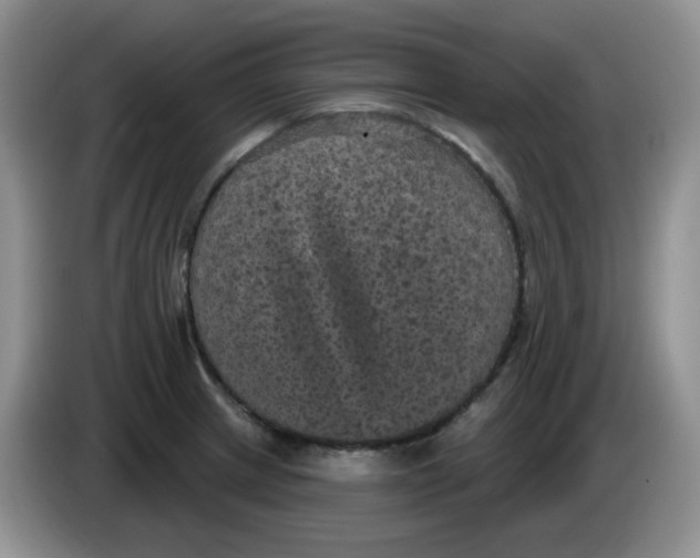 X0000084051233200703092045