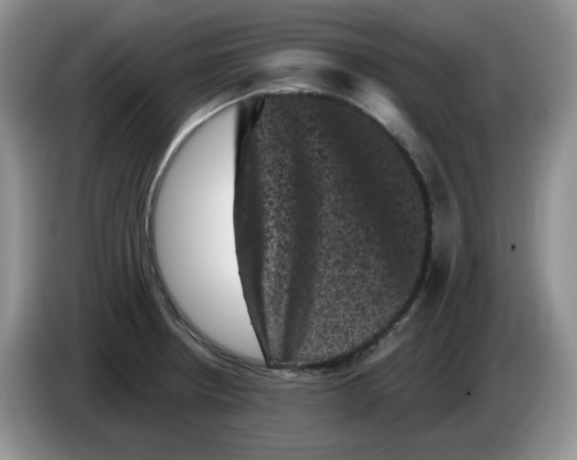 X0000084051234200703092046