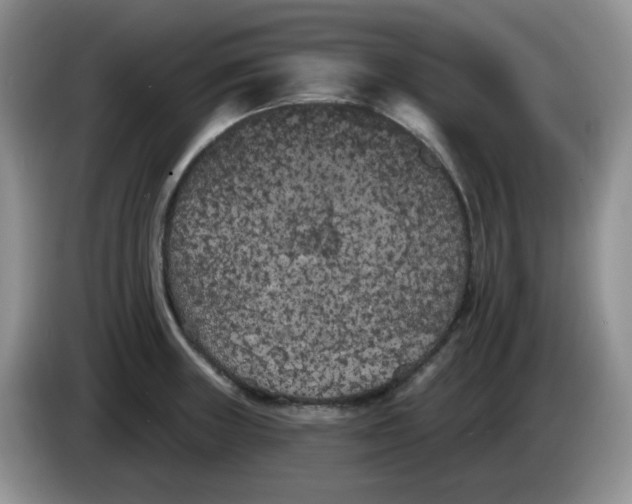 X0000084051235200703092046