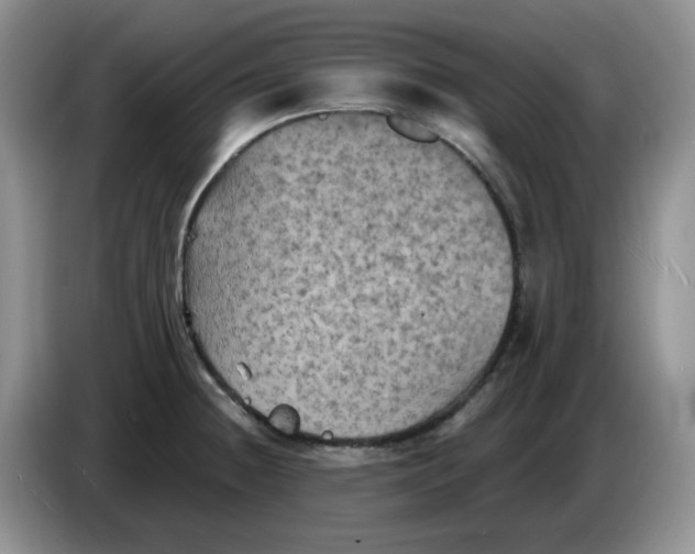 X0000084051236200703092046