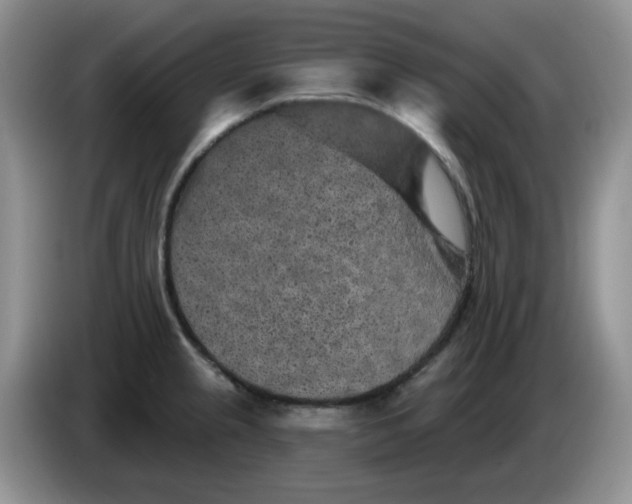 X0000084051237200703092046