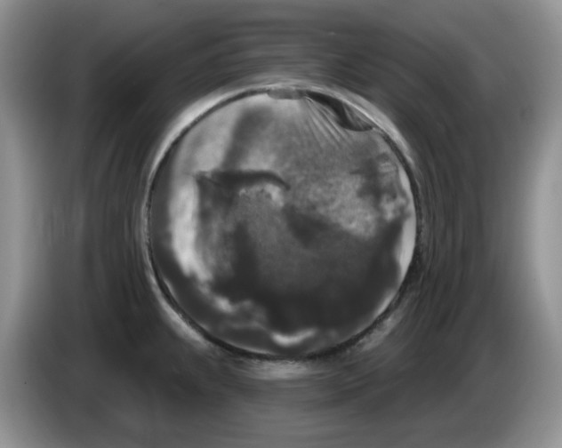 X0000084051239200703092046