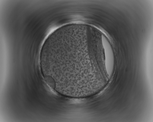 X0000084051240200703092046