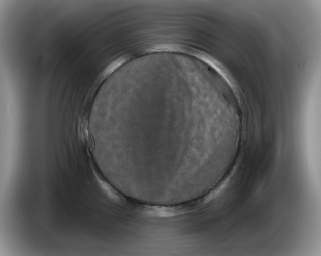 X0000084051241200703092046