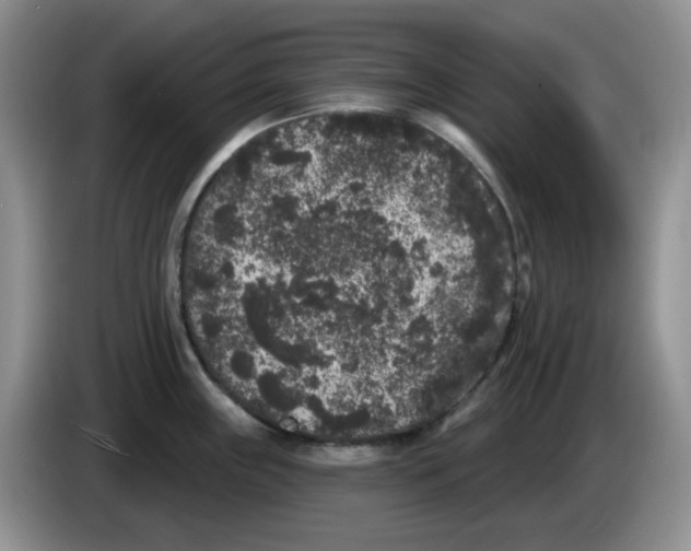 X0000084051243200703092046