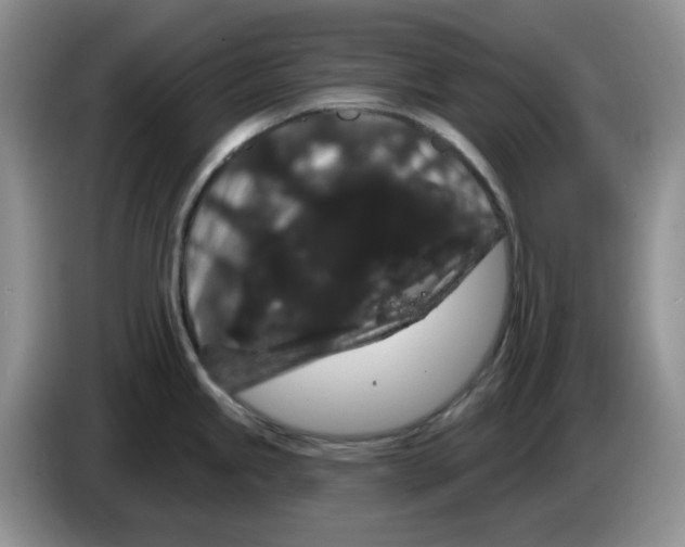 X0000084051245200703092046