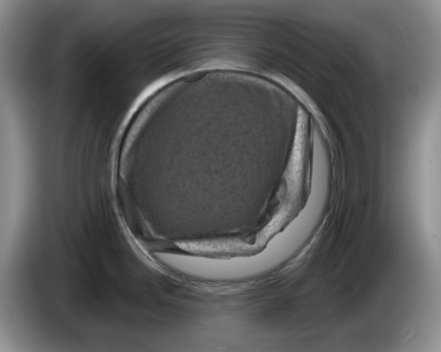 X0000084051246200703092046