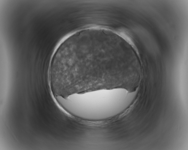 X0000084051247200703092046