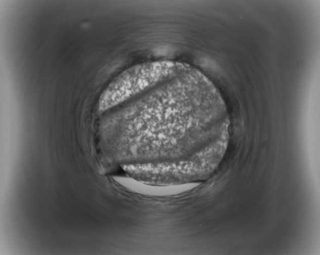 X0000084051249200703092045